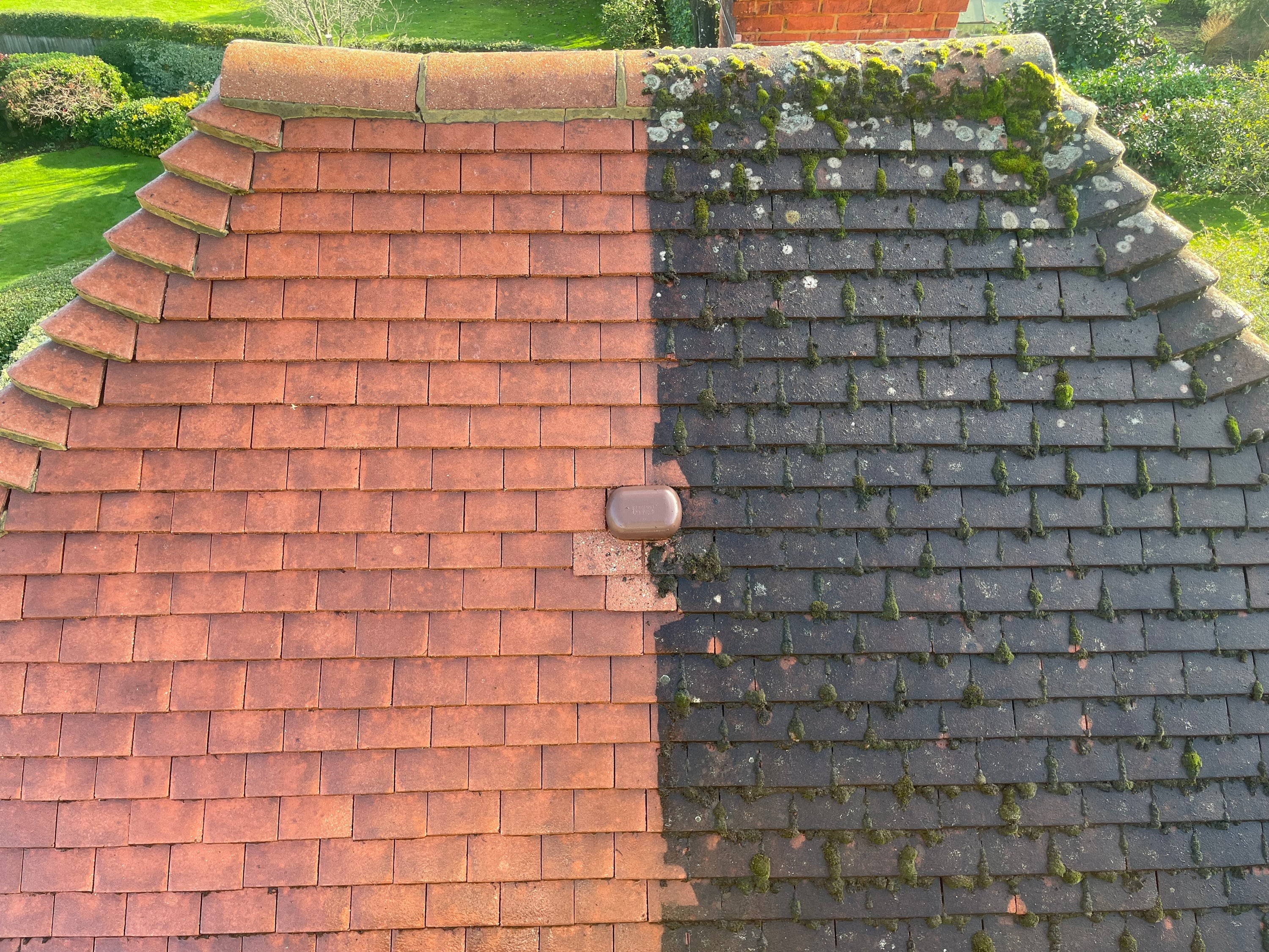 Roof Moss Removal