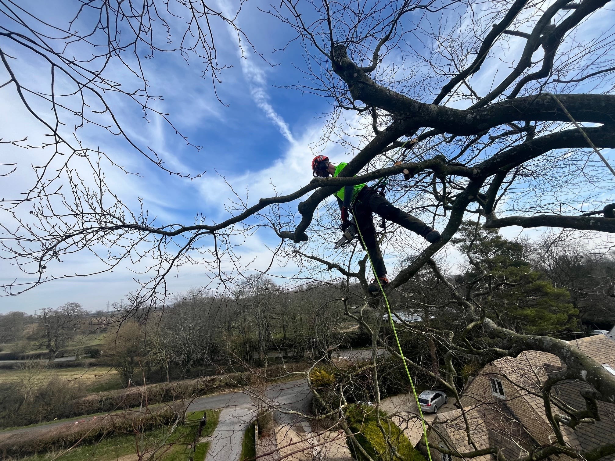 Tree Pruning