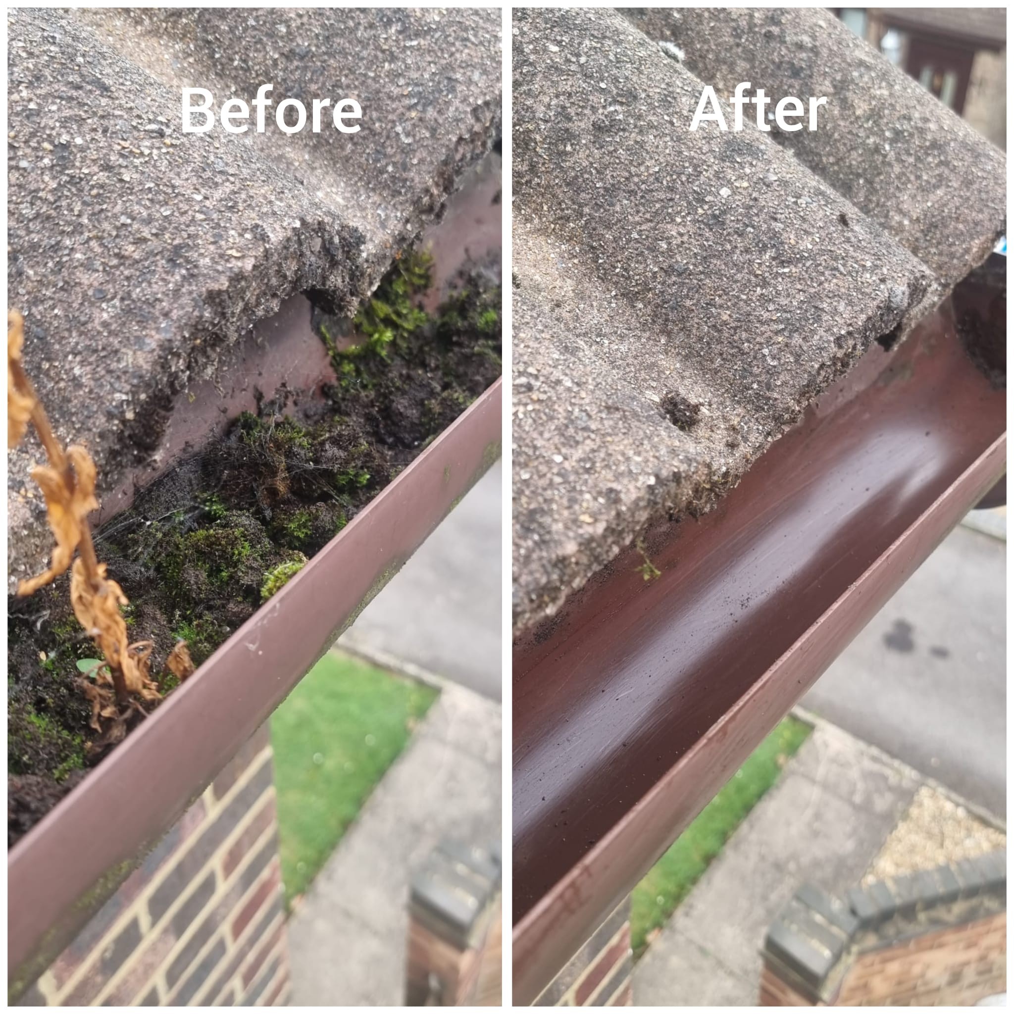 Gutter Cleaning