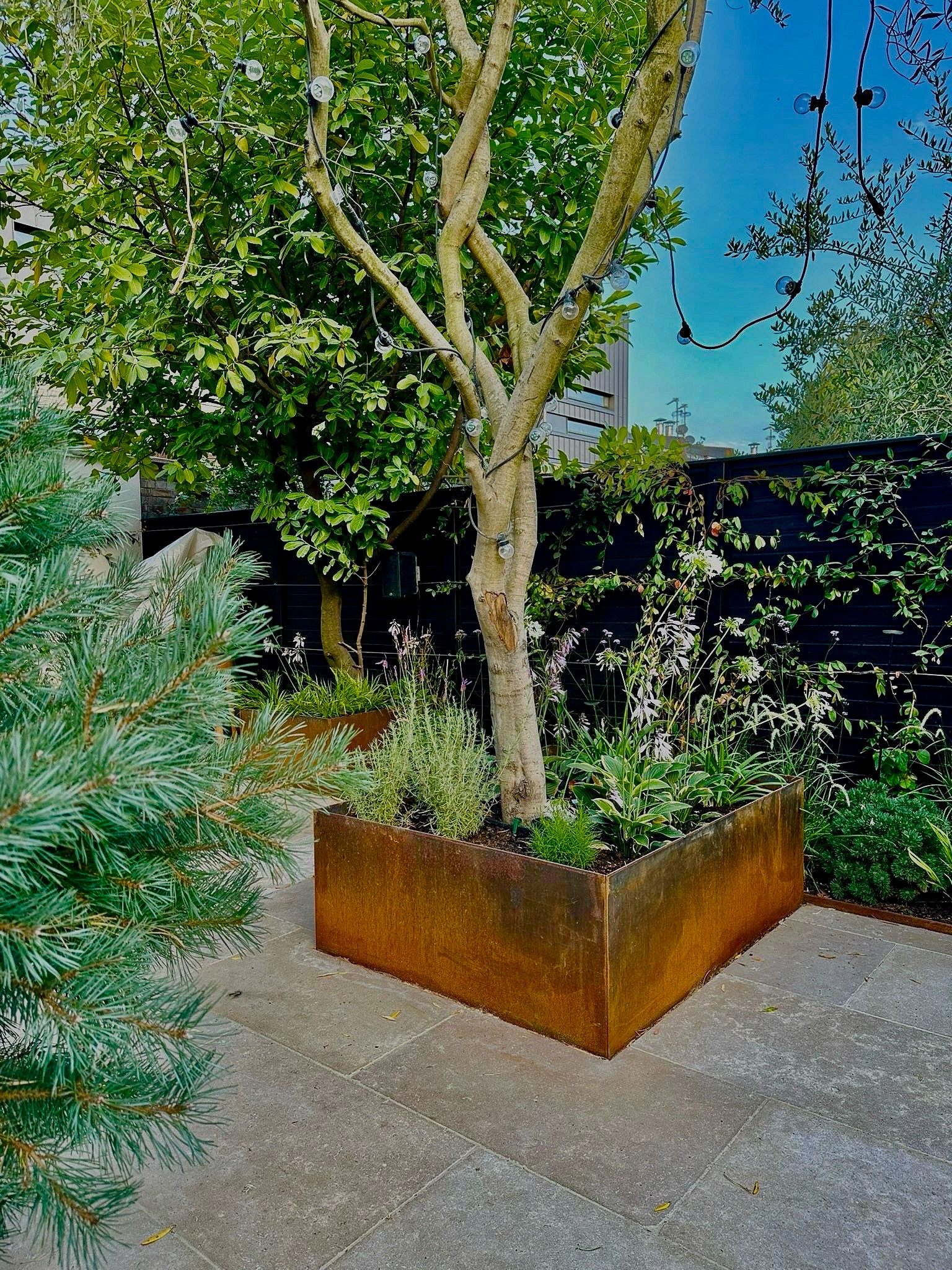 Raised Garden Beds