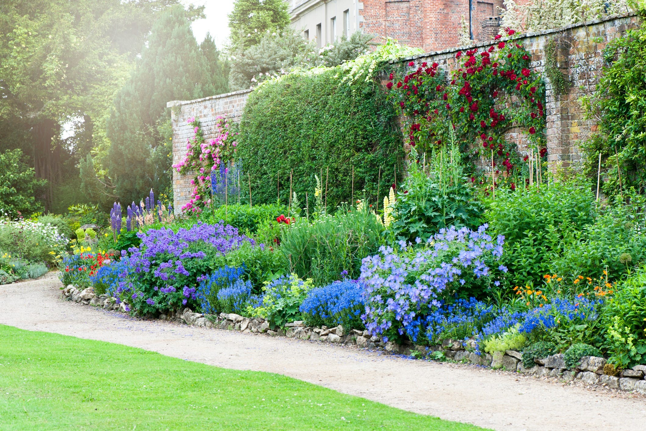 Manicured Lawn & Borders