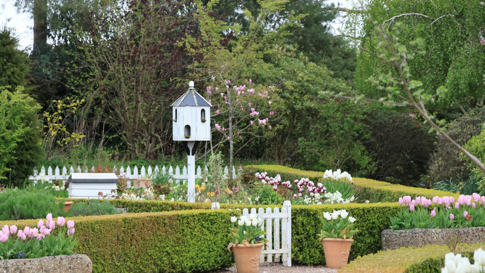 Gardening - Premier Home Improvements